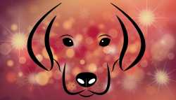 Jahr des Hundes